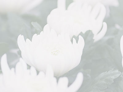 兵庫の公営墓地 合葬式墓地のアイキャッチ画像