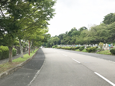 堺公園墓地の写真