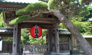 鎌倉の長谷寺 赤い提灯の写真