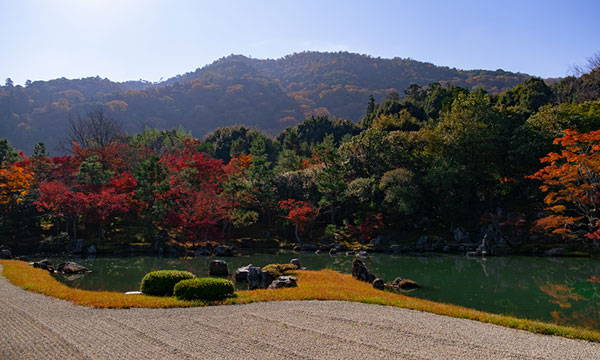 京都の天龍寺にお墓や永代供養ある？庭園
