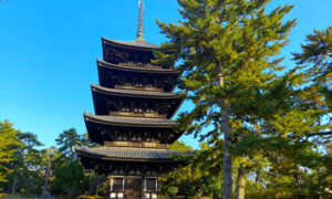 奈良・興福寺にお墓や永代供養ある？五重塔の写真