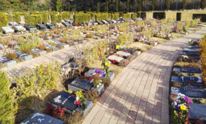 大阪メモリアルパーク ふれあいの杜天空 樹木葬の写真
