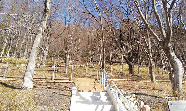 大阪北摂霊園のドイツ型樹木葬の写真